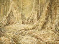 板根林木藏品圖，第1張