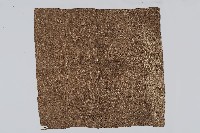 平織麻布料藏品圖，第2張