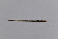 黃銅製梅枝雀鳥雙筒水煙斗-菸絲夾藏品圖，第1張