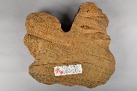 文化茶盤藏品圖，第4張