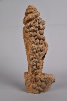 回憶藏品圖，第1張