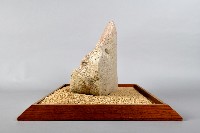 墾丁的蝴蝶藏品圖，第3張