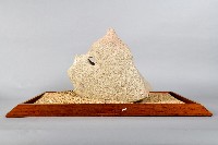 墾丁的蝴蝶藏品圖，第4張