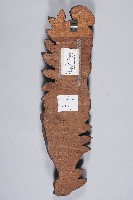 人與自然系列-觀想藏品圖，第2張