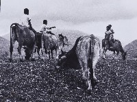 黃昏堤上藏品圖，第1張