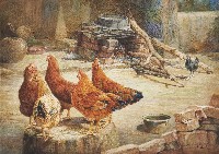 三姑六婆藏品圖，第1張