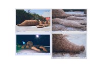 等待再生No.6生與息藏品圖，第1張