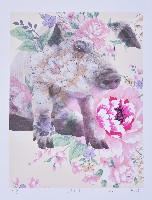 富貴蹈來藏品圖，第1張