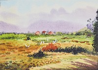 豐收藏品圖，第1張