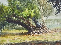 四棵樹藏品圖，第1張