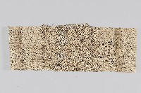 平織環狀麻布藏品圖，第1張