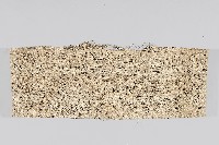 平織環狀麻布藏品圖，第2張