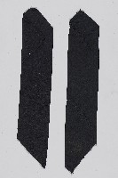素面黑袖套藏品圖，第2張