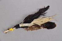 羽毛頭飾藏品圖，第1張