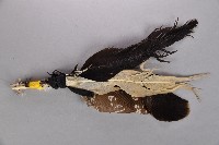 羽毛頭飾藏品圖，第2張