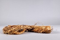 麻纖維-2藏品圖，第3張