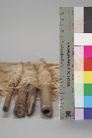 水平背帶織布用具-夾布軸及紗線藏品圖，第8張