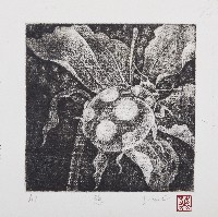 黑白瓢蟲畫-憩藏品圖，第1張