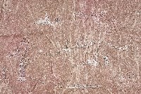 繡村景彩帳藏品圖，第5張