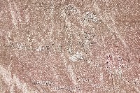 繡村景彩帳藏品圖，第6張