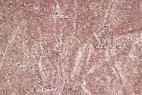 繡村景彩帳藏品圖，第7張