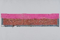 刺繡紅底黑邊牡丹飛鳥帳簾帶藏品圖，第2張