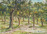 墾丁森林公園藏品圖，第1張