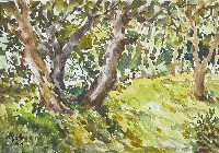 墾丁公園藏品圖，第1張