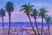 悠活海岸藏品圖，第1張