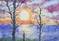 萬里桐日落藏品圖，第1張