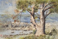 半島風光藏品圖，第1張