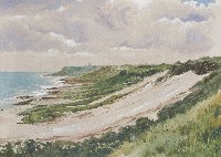 沙瀑藏品圖，第1張