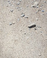 石事跡象-2藏品圖，第1張