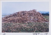 覆‧巢藏品圖，第1張