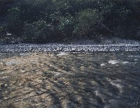 金色隘寮南溪藏品圖，第1張