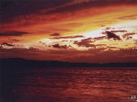 龍鑾潭藏品圖，第1張