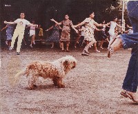 躍躍欲試藏品圖，第1張