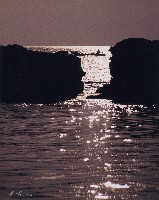 垂暮時分藏品圖，第1張