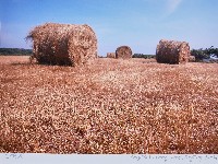 收成藏品圖，第1張