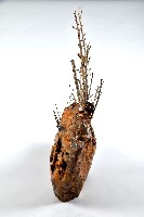 圓雕木鯉藏品圖，第5張