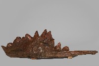 岸邊獨酌藏品圖，第2張