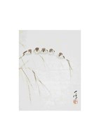 五雀圖藏品圖，第1張