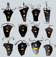 珍惜藏品圖，第2張