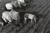 一馬當先/屏東黎明藏品圖，第1張