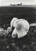 豆種袋藏品圖，第1張