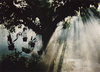 暉Luminescence藏品圖，第1張