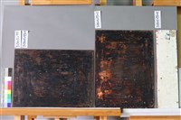 海洋之痛藏品圖，第2張