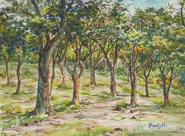 墾丁森林公園藏品圖，第1張