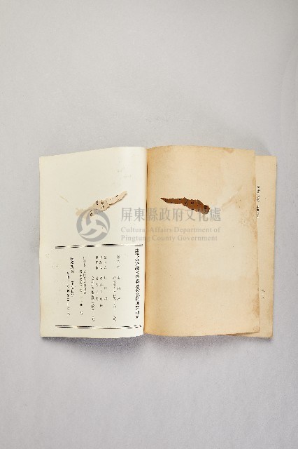 《唐代衣飾織物色彩及染色的考證研究》藏品圖，第3張