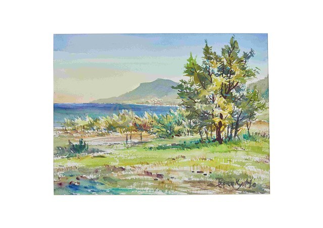 萬里桐沿海風光藏品圖，第1張